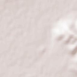 Obshtina Radomir Terrain Map