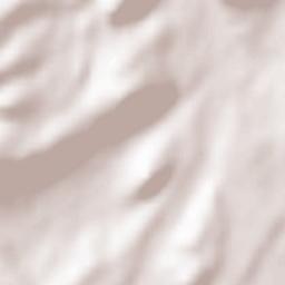 Castildelgado Terrain Map