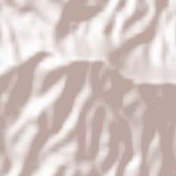 Petilla de Aragón Terrain Map