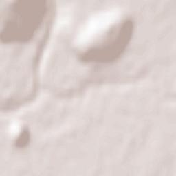 Podgorica Terrain Map