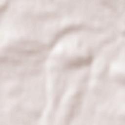 Val de San Lorenzo Terrain Map