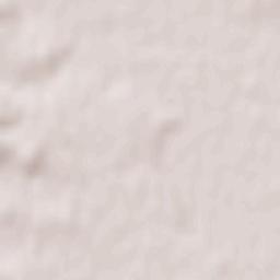 Riego de la Vega Terrain Map