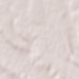 Lagartos Terrain Map