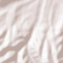 Fresneña Terrain Map