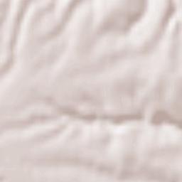 Vasanello Terrain Map