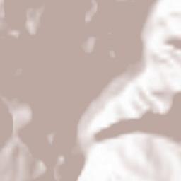 Shamil’skiy Rayon Terrain Map