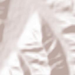 Santurdejo Terrain Map