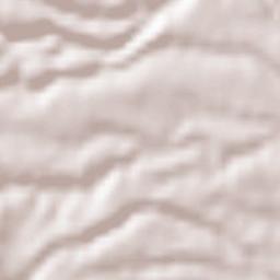 Vignanello Terrain Map