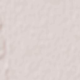 Obshtina Kaloyanovo Terrain Map