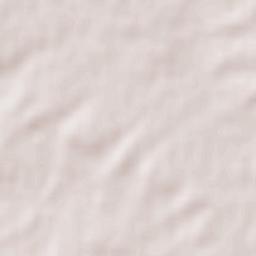 San Mamés de Campos Terrain Map