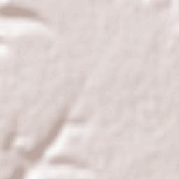 Castellanos de Castro Terrain Map