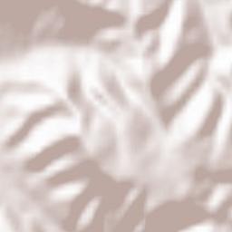 San Vicente del Valle Terrain Map