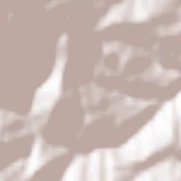 Carpineto della Nora Terrain Map