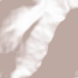 Rrethi i Malësia e Madhe Terrain Map