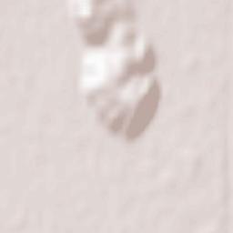 Obshtina Samokov Terrain Map