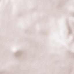 Lesichovo Terrain Map