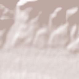 Sach’khere Terrain Map