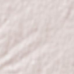 Marcilla de Campos Terrain Map