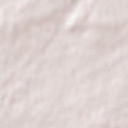 Requena de Campos Terrain Map