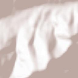 Zorraquín Terrain Map