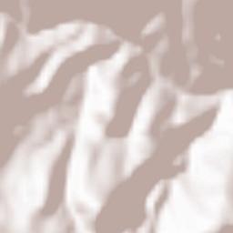 Planoles Terrain Map