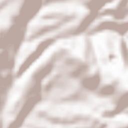 Poggio Catino Terrain Map