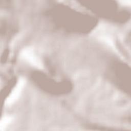 Barisciano Terrain Map