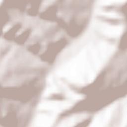 Bucchianico Terrain Map