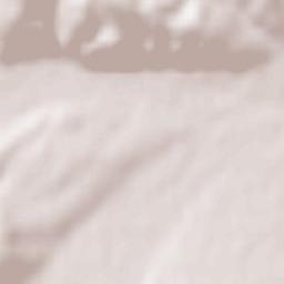 Obshtina Dolna Banya Terrain Map