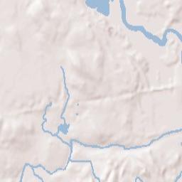 Needham Terrain Map