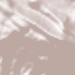 Fiamignano Terrain Map