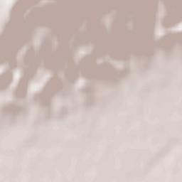 Senak’i Terrain Map