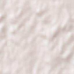 Saldaña de Burgos Terrain Map