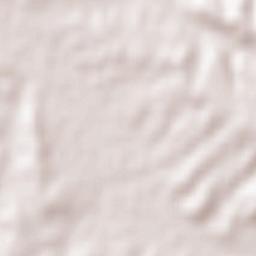 Revillarruz Terrain Map