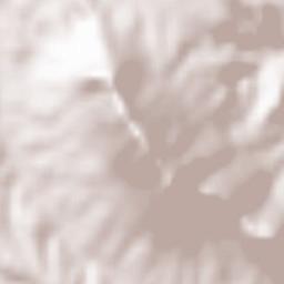 Sant'Oreste Terrain Map