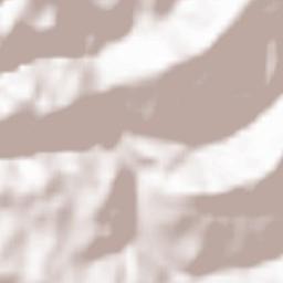 Salisano Terrain Map