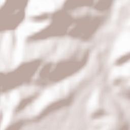 Fara Filiorum Petri Terrain Map