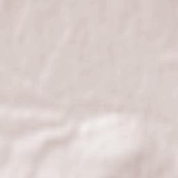 Obshtina Chirpan Terrain Map