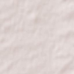 Cisneros Terrain Map