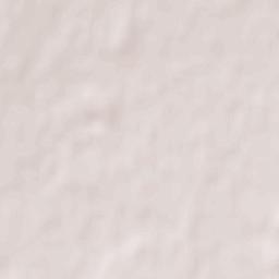 Piña de Campos Terrain Map