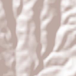 Castigaleu Terrain Map