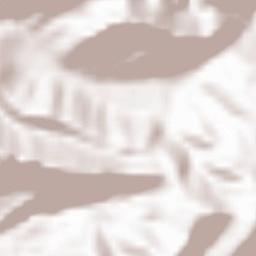 Sant Julià de Cerdanyola Terrain Map