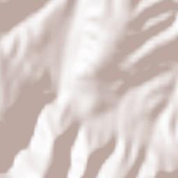 Obshtina Belovo Terrain Map