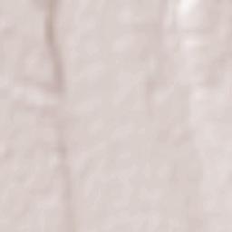 Ts’khinvali Terrain Map