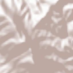 Collegiove Terrain Map