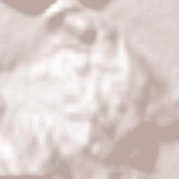 Borgorose Terrain Map