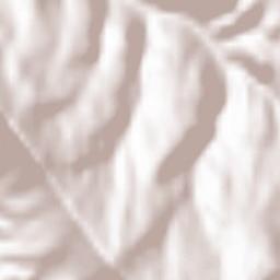 Akushinskiy Rayon Terrain Map