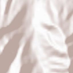 Talasskiy Rayon Terrain Map