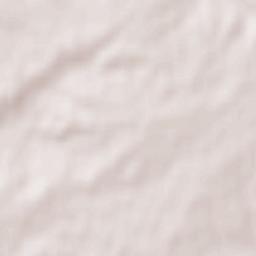 Bustillo de Chaves Terrain Map