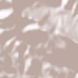 Muro de Aguas Terrain Map